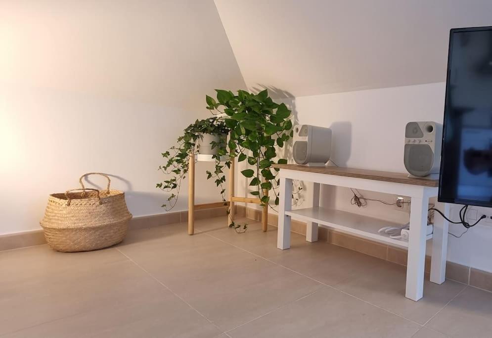 La Ventana Apartment Barreiros Bagian luar foto